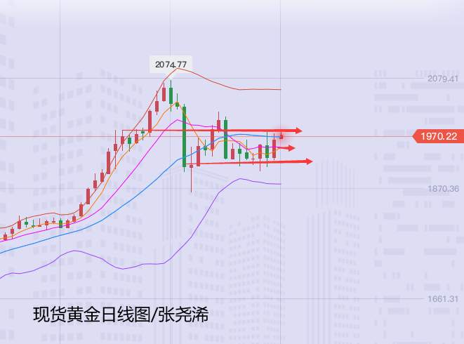 张尧浠：本周重磅接连预至、黄金仍触线支撑续看上行