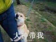 外汇黄金作手 支撑压力4-分辨支撑类别1