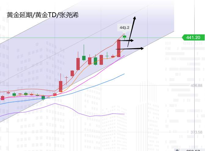 张尧浠：黄金持续单边连涨刷高、基本面利好预增强加码