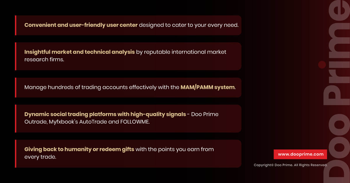 If someone ask what makes the already extraordinary Doo Prime services extra extraordinary, we will show them this list: