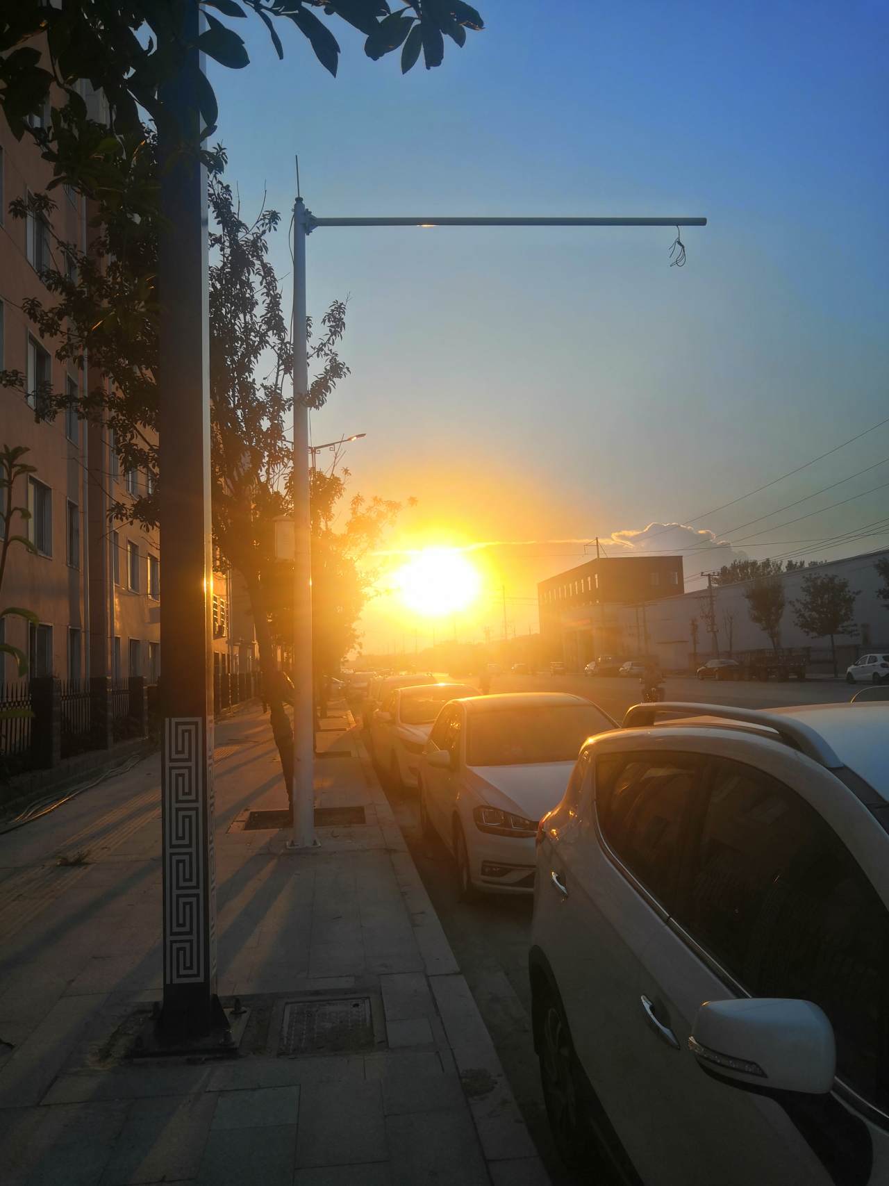 feed-image-0