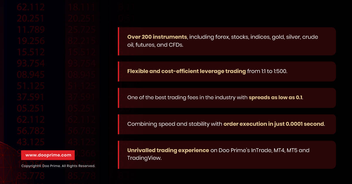 If someone ask what makes the already extraordinary Doo Prime services extra extraordinary, we will show them this list: