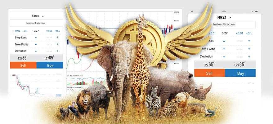 Bank of Namibia: Online FX Trading is Not Prohibited