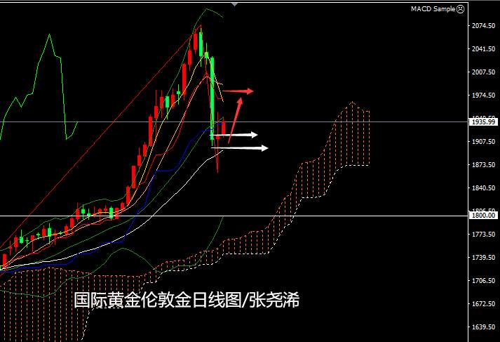 张尧浠：黄金涨趋内回调当属正常、多头仍将卷土重来