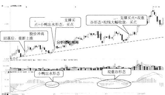 张尧浠：玩赚黄金投资交易之MACD与趋势线结合应用