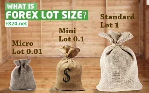 Lot là gì? Hướng dẫn sử dụng lot trong forex