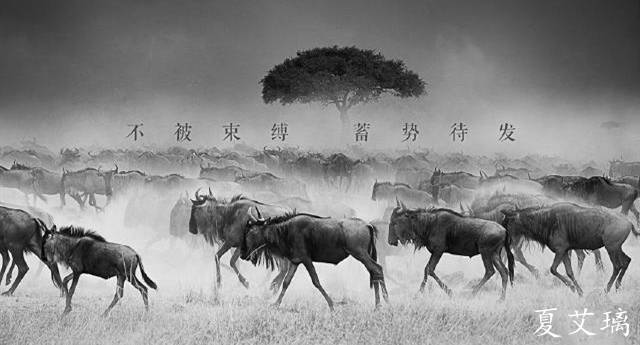 夏艾璃：一夜之间遭遇疯狂抛售！黄金多头凉了？新的涨势即将来临