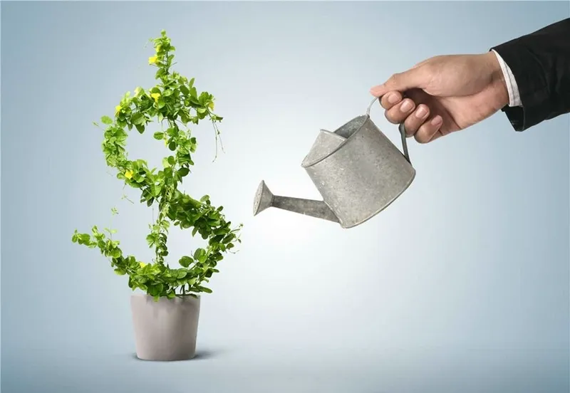 玉舒盘金：黄金操盘十大法则，看懂投资你将利润翻倍！