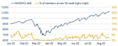High Hopes: S&P 500 Hits All-Time High Amid Pandemic/Recession