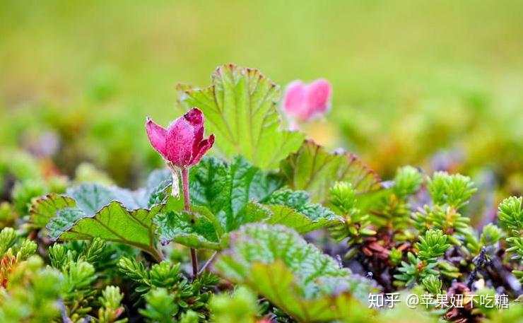 期货大咖：交易者要跟交易系统融为一体