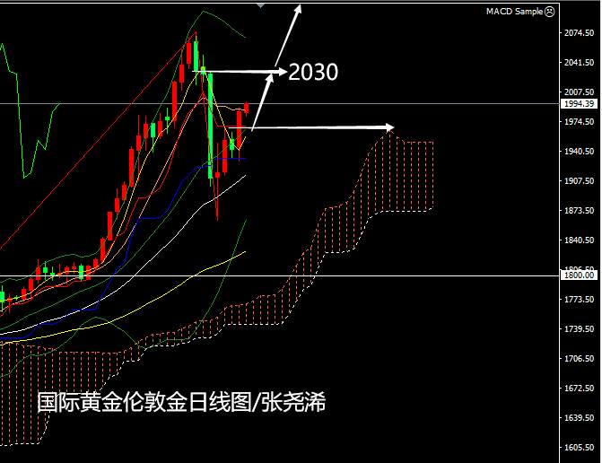 张尧浠：美元美债加巴菲特助攻、黄金守中轨支撑看涨2025
