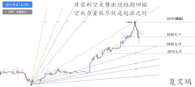 夏艾璃：黄金非农为何暴跌？后市黄金还能上涨吗？下周深度解读！