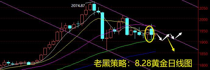 老黑策略：8.28黄金分析策略