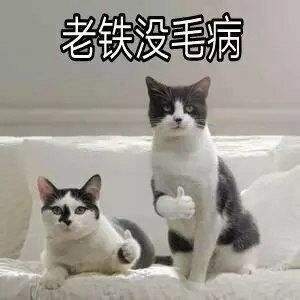 赶紧出金!平台要跑路了！