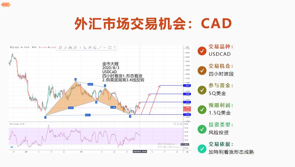 金市大鲤：第八期月交易计划布局