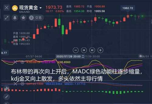 舒鑫欢：黄金再创新高，下周还会涨吗？下周走势最新消息