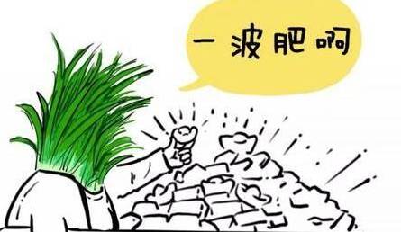 黃金你被割韭菜了嗎?還是看牛嗎?