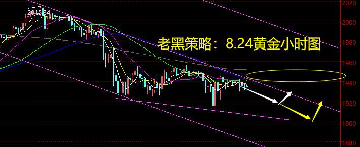 老黑策略：8.24黄金分析策略