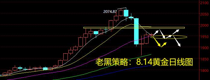 老黑策略：8.14黄金分析策略