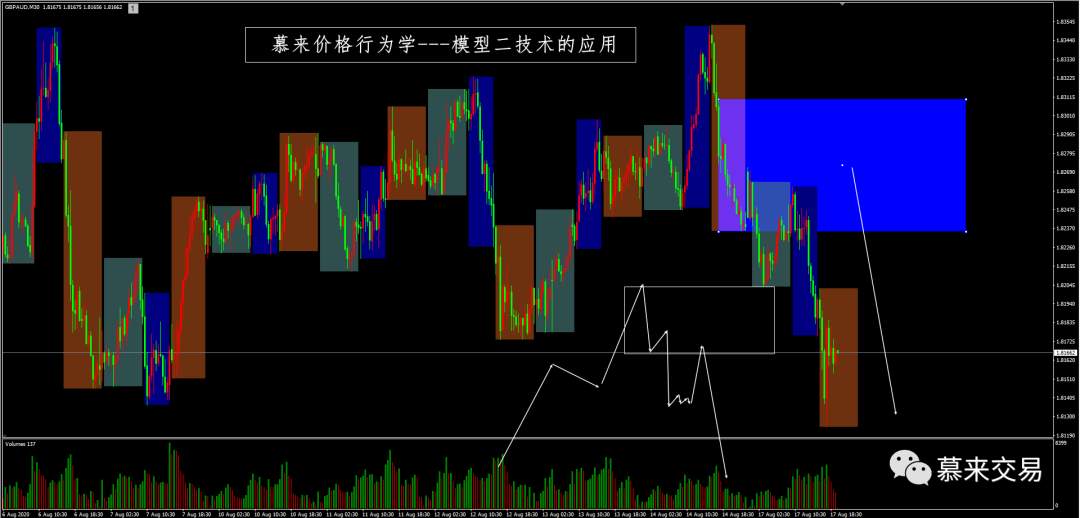 【慕来认知课程技术分析】8月14日-8月21日行情回顾