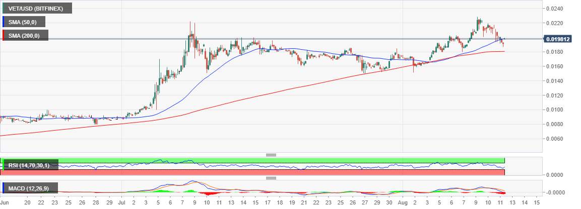 Cryptocurrency Markey Update: Bitcoin Cash, VeChain and Ethereum Classic ground start altcoin recovery