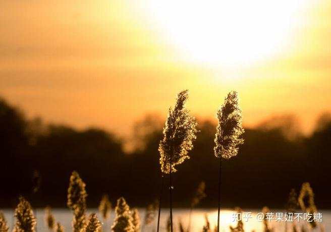 亏损最小化，利润最大化，想要这样的期货交易吗 ？