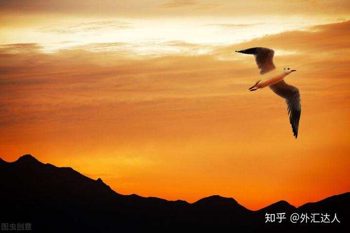 事实证明，伟大的操盘手都是野生的！