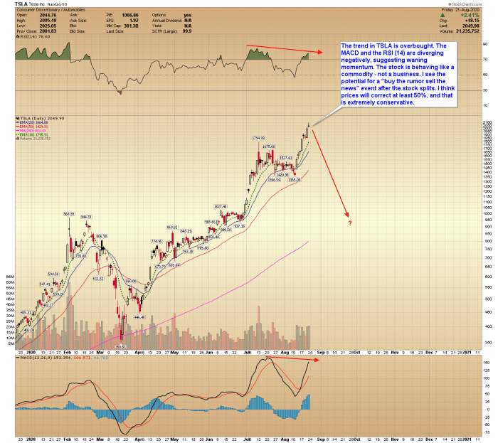 Will Tesla Stock Price Crash?