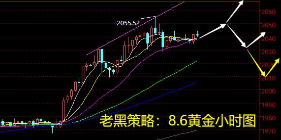 老黑策略：8.6黄金分析策略