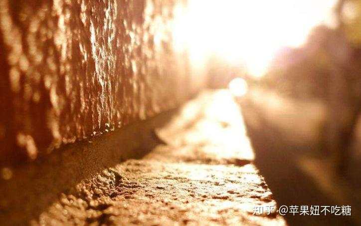 亏损最小化，利润最大化，想要这样的期货交易吗 ？