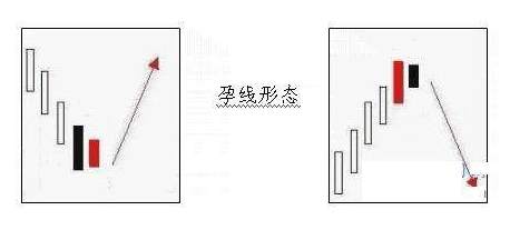 灯塔：进入市场前，小白需要了解什么？（16）