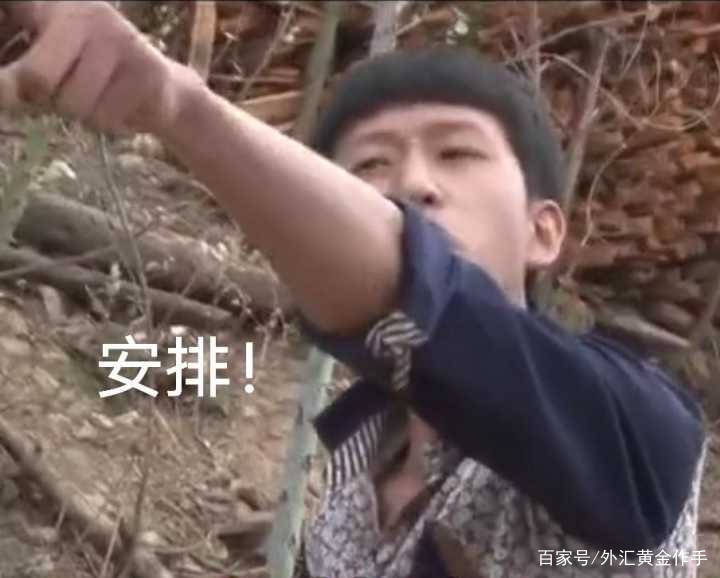 外汇黄金作手 支撑压力9-提前预测