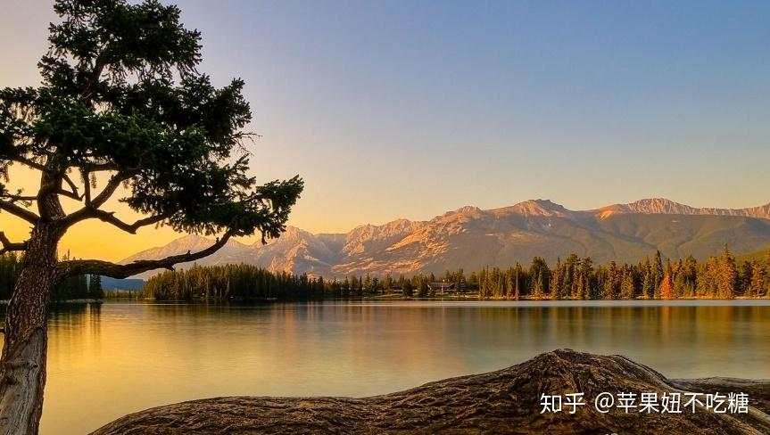 盈利千万的高手分享的交易历程中的心态管理