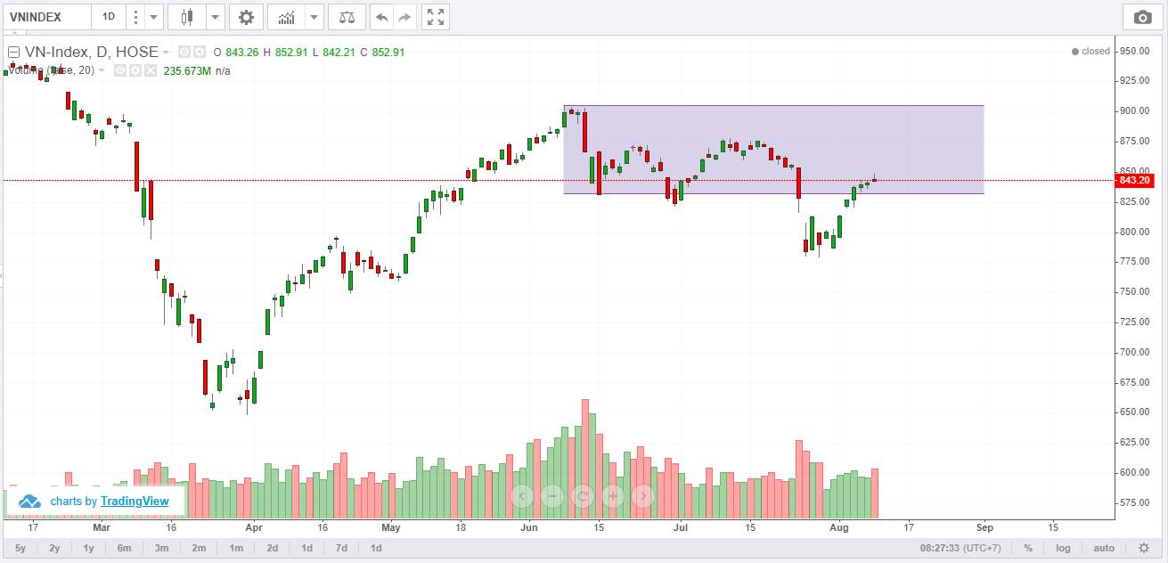 Góc nhìn Wyckoff - VNindex và những Cổ phiếu Việt Nam tiềm năng 11/8