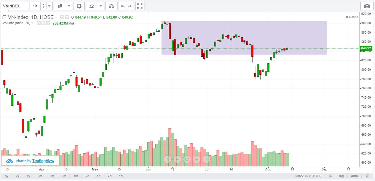 Góc nhìn Wyckoff - VNindex và các Cổ phiếu Việt Nam tiềm năng 13/8