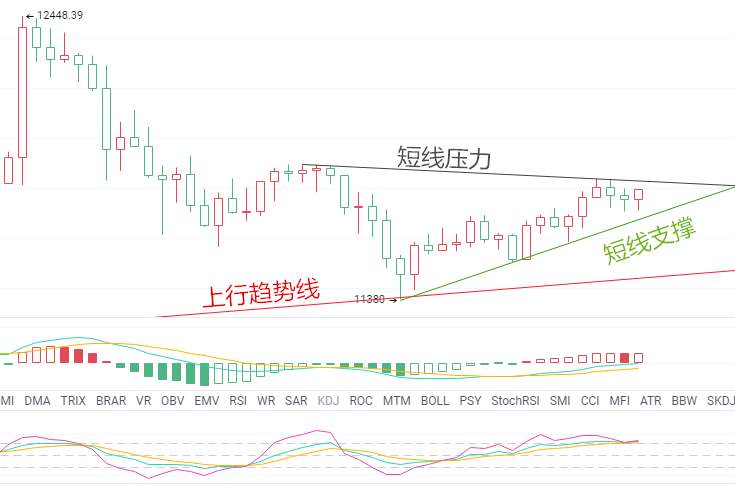 金财币：8.25比特币行情分析，牛市再启，全线普涨翻红