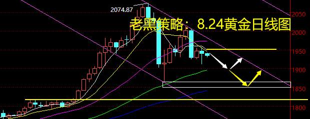 老黑策略：8.24黄金分析策略