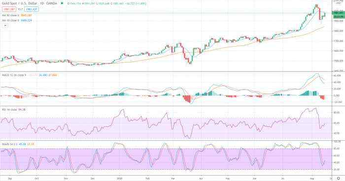Gold Price Prediction – Prices Surge but As Buffet Joins Gold Rally