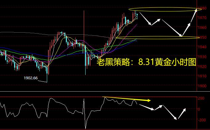 老黑策略：8.31黄金分析策略