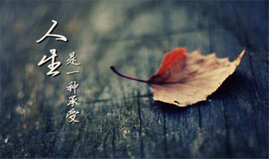 苏雪姗：为什么遇到大行情你总拿不住单？怎样才能拿住盈利单