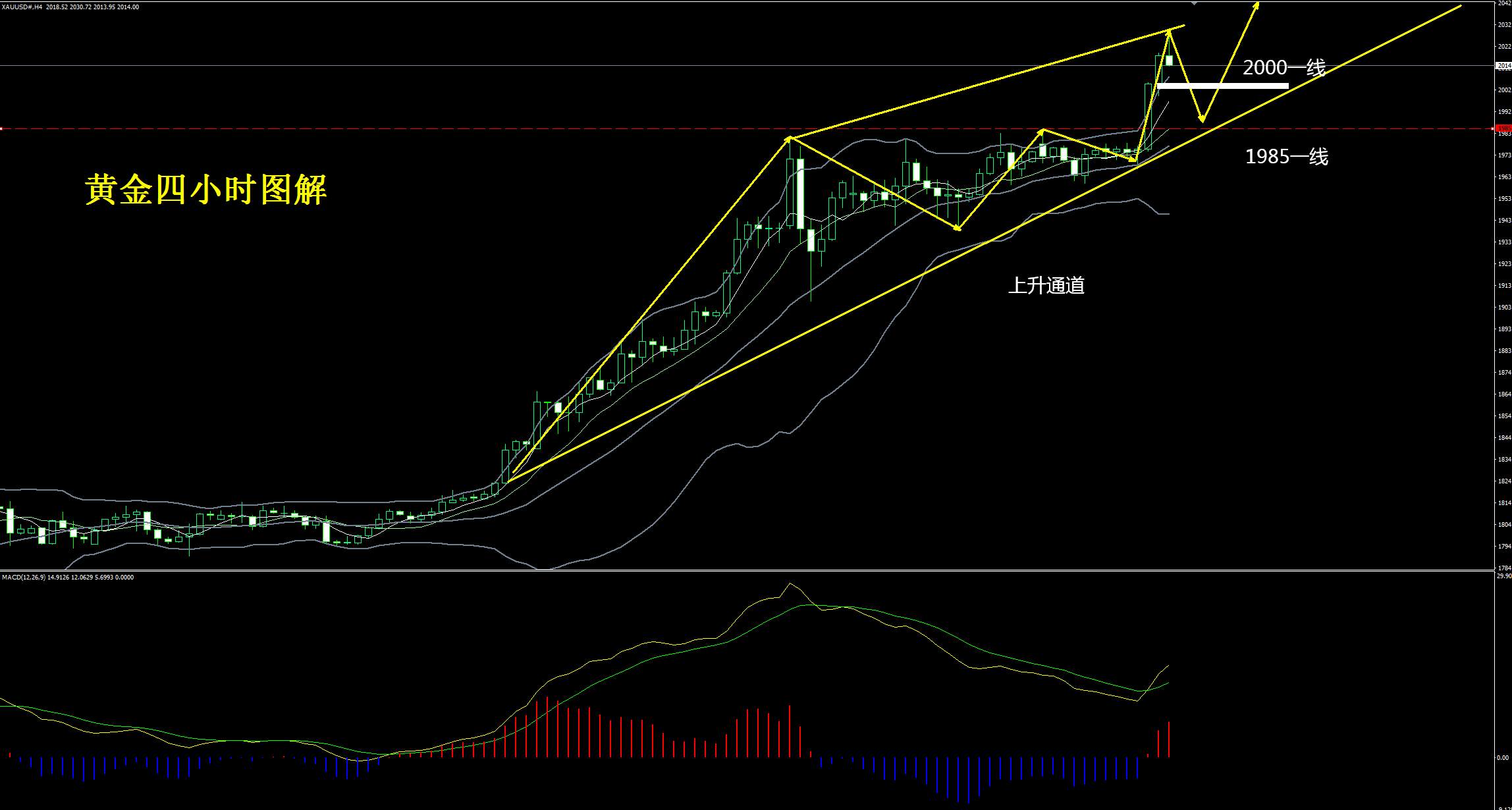 卢秋悦：8.5秋悦曾经预言20时代，黄金成功实现我们目标