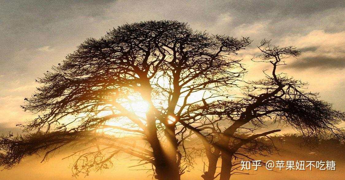 该如何在期货市场中赚到一千万？