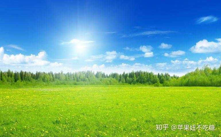 盈利千万的高手分享的交易历程中的心态管理