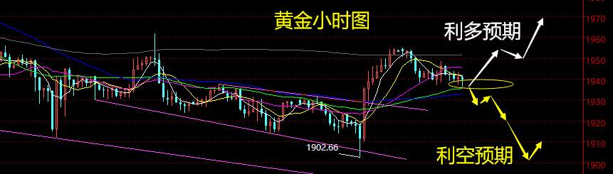 老黑策略：8.27晚盘外汇、黄金、原油分析策略