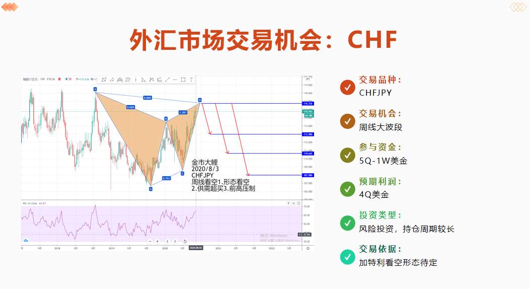 金市大鲤：第八期月交易计划布局