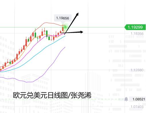 张尧浠：美元日内止跌力度有限、欧元目标可看至1.22