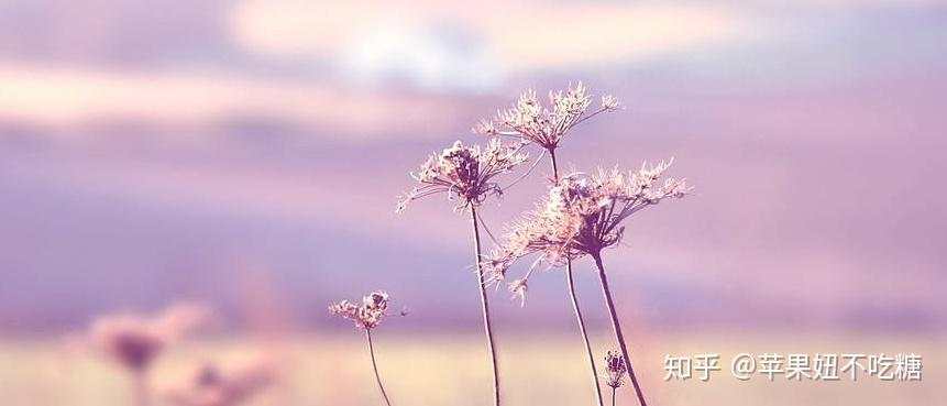 这不就是你期货盈利和亏损的原因？