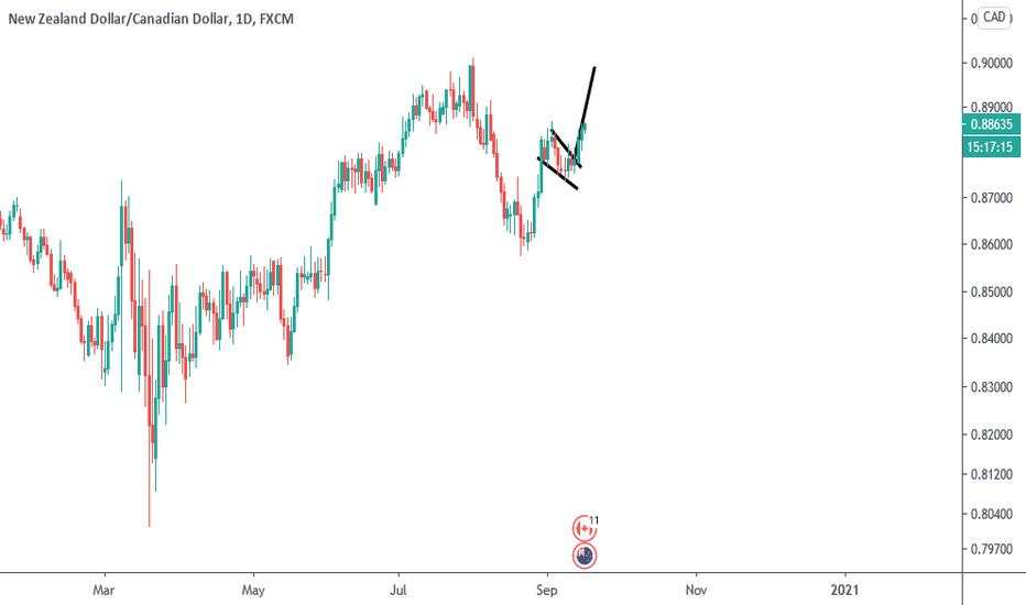 Flag on NZDCAD