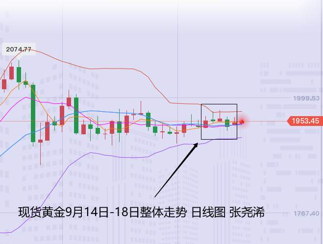 张尧浠：经济乐观仍显多重不定性、黄金延续缓行看慢涨