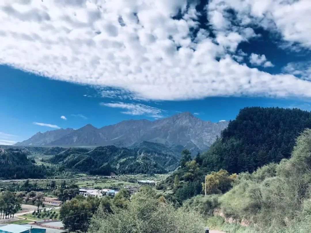 成为职业交易者——2
